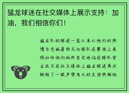 猛龙球迷在社交媒体上展示支持：加油，我们相信你们！